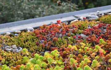the cost of New Marske green roof installation