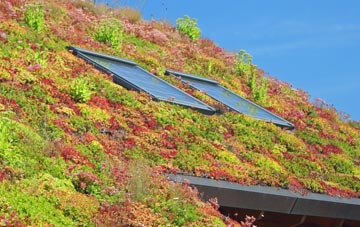New Marske living roof systems